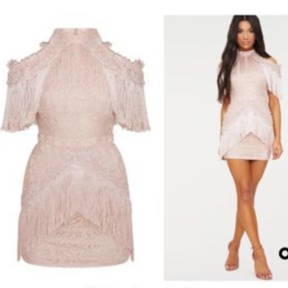 Blush Pink Fringe Lace Mini Dress
